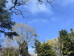 -大理古城-玉洱园