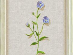 -风致肯麦基(忠信店)