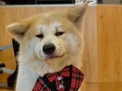 -YCHL Studios健身工作室(市二宫店)
