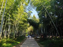 -同里国家湿地公园