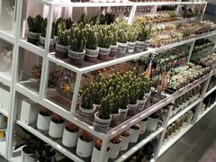 -KKV(深圳宏发大仟里店)