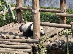 -黔灵山公园