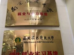 -瑞鹏宠物医院·微创内窥镜·骨外科·牙科(翠竹分院)