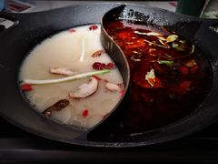 红汤梭边鱼锅-新辣道鱼火锅(西直门店)