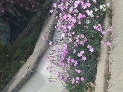 -同里国家湿地公园