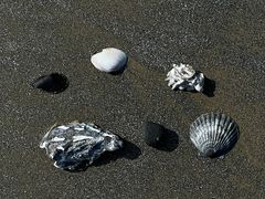 -ChanDu躔度咖啡(灯塔店)