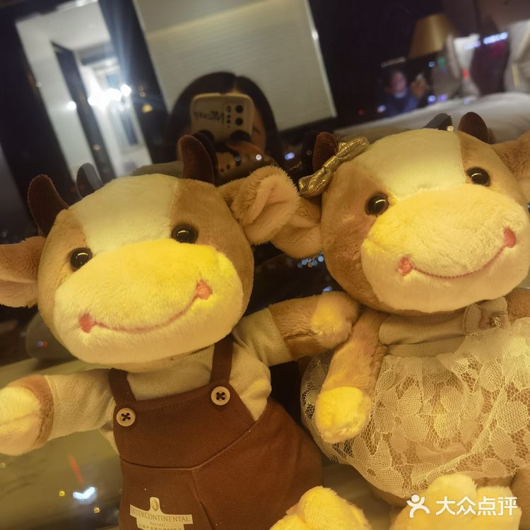 大连威尼斯水城