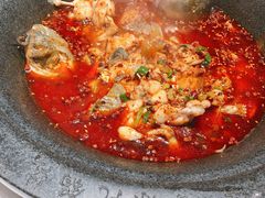 -真牛哇·香辣汽锅蛙(天河城店)