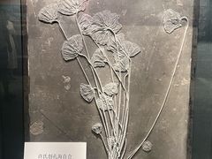 -大连自然博物馆