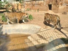 -昆明动物园