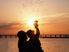 -宝安西湾红树林湿地公园