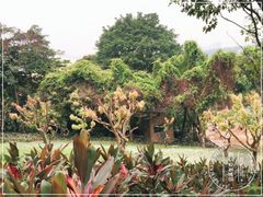 -云溪植物园