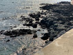 -Cafe Aewol Monsant