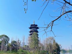 -洋湖国家湿地公园