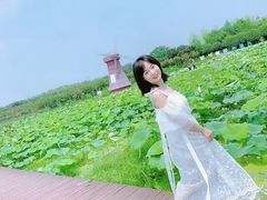 -武汉紫薇都市田园