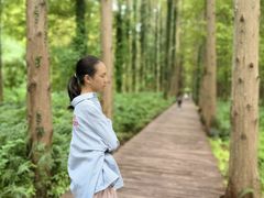 -黄海国家森林公园