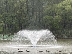 -翠湖国家城市湿地公园