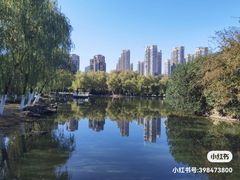 -天鹅湖体育公园