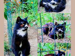 -香木香羊(小汤山店)