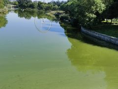 -青龙湖公园