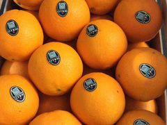 -上海龙吴水胜海发市场