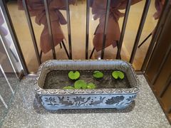 -菩提树·素食餐厅(汇智国际商业中心店)