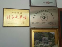 -江南茗茶城