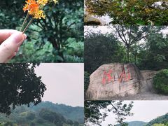 -云栖竹径