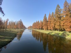 -黄海国家森林公园