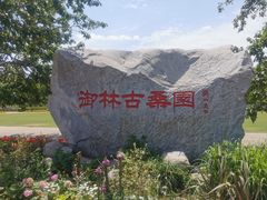 -御林古桑园