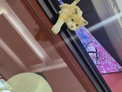 -将太无二·北美传奇寿司(荟聚购物中心西红门店)