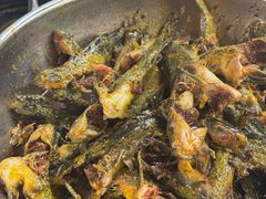 -金海椒罐罐鲢鱼(东方桂苑店)