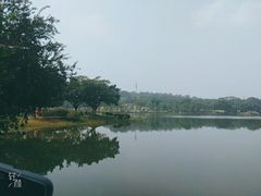 -东莞植物园