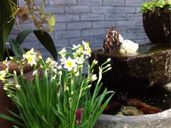 iphone_upload_pic-古韵餐厅(湖畔大学店)