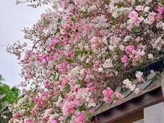 -深圳国际园林花卉博览园