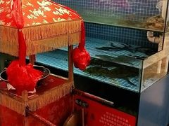 -皖小斌·小葱伴豆腐(丰收路店)
