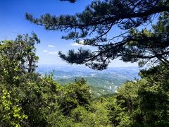 -鲁山国家森林公园