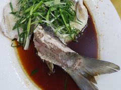 清蒸泉水鲩鱼-成惠食府(赤岗店)