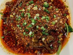 -柴窝堡22号辣子鸡·传承新疆菜