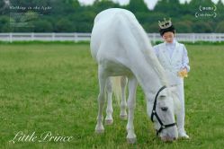 -巴巴爸爸儿童摄影(印象城店)