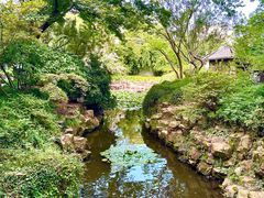 -上海醉白池公园