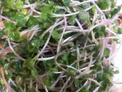 -青岛锅贴(洛阳路分店)