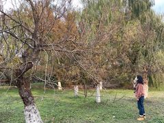 -梁鸿国家湿地公园