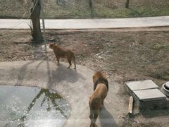 -西安秦岭野生动物园