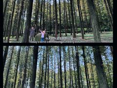 -宜兴龙背山森林公园