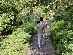 -铁山坪森林公园