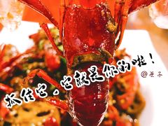 麻辣十三香小龙虾-海岛八号龙虾烧烤田鸡(蓝天路总店)