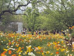 -名花谷生态庄园