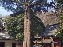 -青岛崂山太清宫