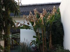 -鲁迅公园